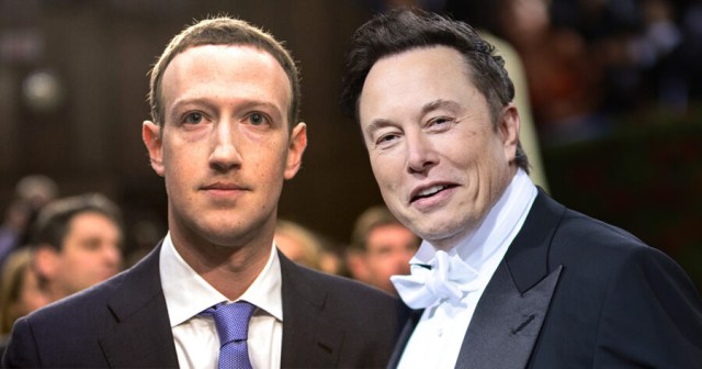 Musk and Zuckerberg Agree to Fight Just to Feel Touch of Fellow Human