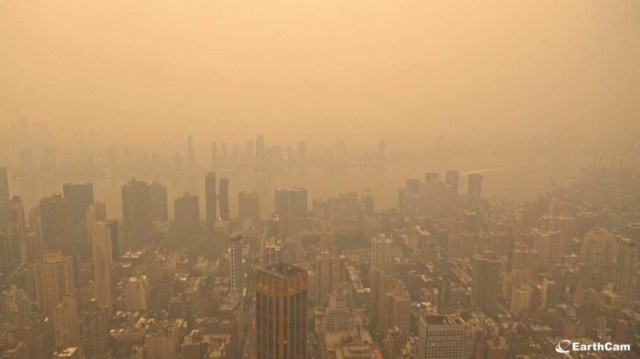 New Yorkers: This Is Your Opportunity to Experience a Real-Life Poison Level
