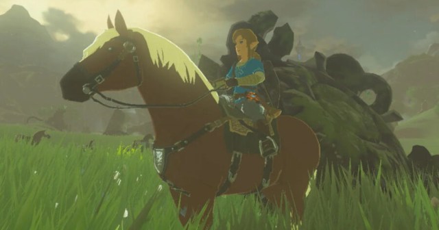 Epona Euthanized After Getting Stuck on Weird Rock