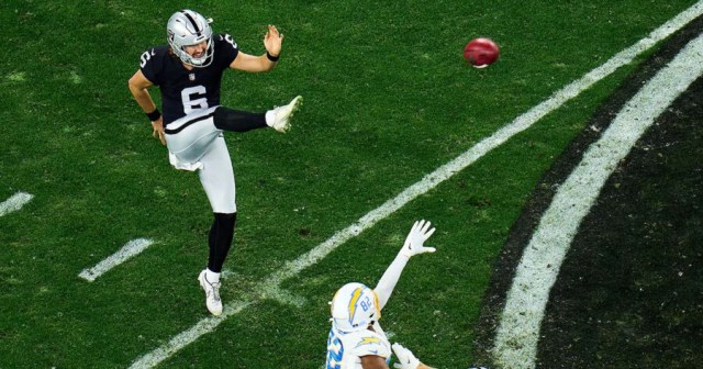 Madden NFL 24 Best P Ratings Guide: The Best Punters