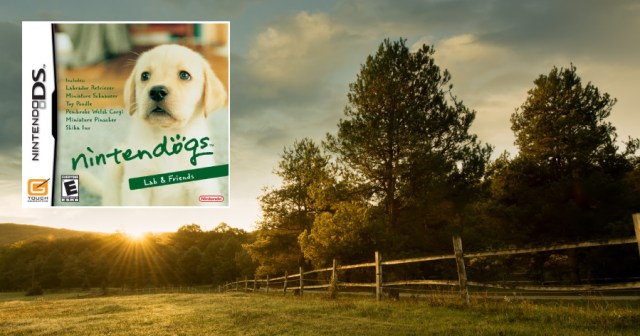 Man Slowly Realizing Childhood ‘Nintendogs’ Cartridge Didn’t Go To Farm Upstate