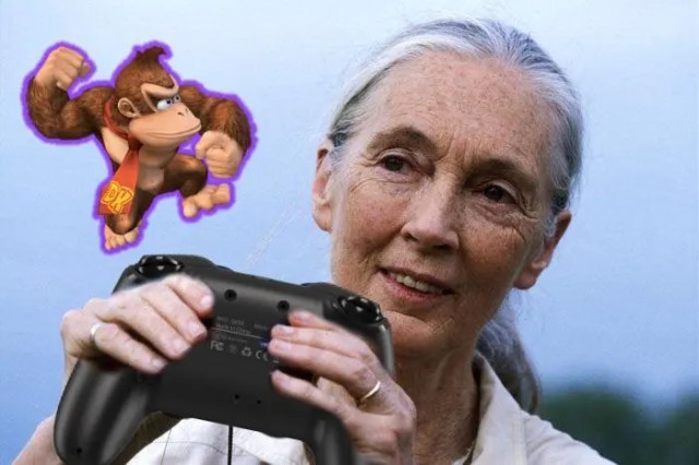 Jane Goodall Total Pill Throughout Mario Party Game Where She Didn’t Get to Play as Donkey Kong