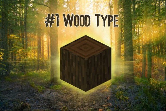Ranking Minecraft’s Wood Types as if It’s Not Obvious That Dark Oak Is #1