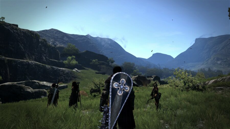 Dragon's Dogma Dark Arisen Pawns 1