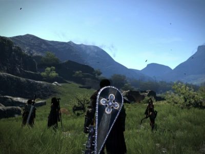 Dragon's Dogma Dark Arisen Pawns 1
