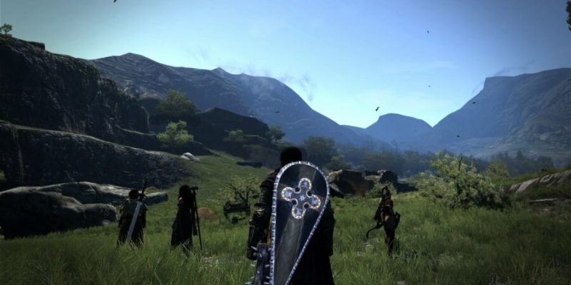 Dragon's Dogma Dark Arisen Pawns 1