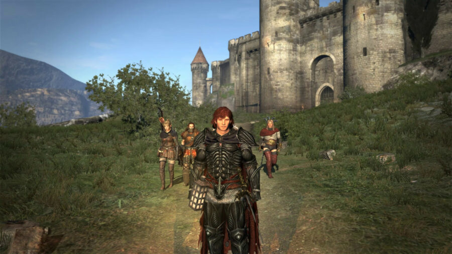 Dragon's Dogma Dark Arisen Pawns 2