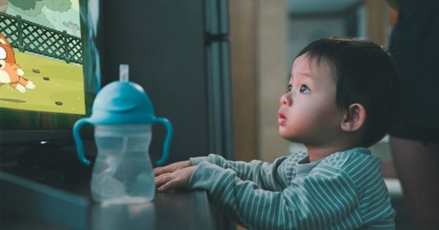 Court Awards Custody to Whichever Episode of Bluey on at Moment