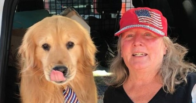 Meet the Most Qualified Politicians That Can Be Kamala Harris’s Running Mate