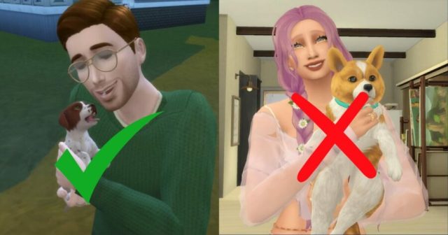 Sims 4 Update Restricts Pet Ownership for Unmarried Women