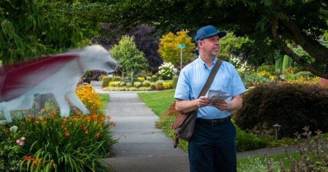 Local Dog Playfully Kills Fourth Mailman This Week