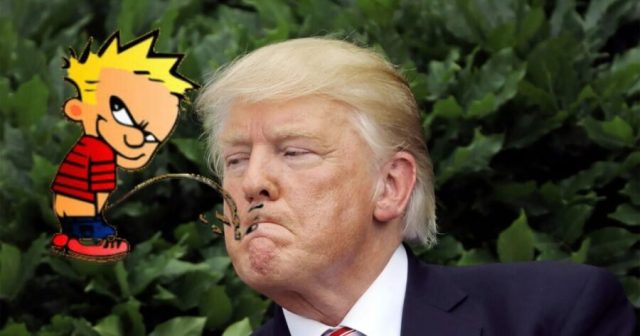 Report: Calvin’s Bladder Empty