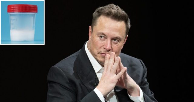 Elon Musk Reaches Out to Dozens of Fired Federal Employees With Impregnation Offers