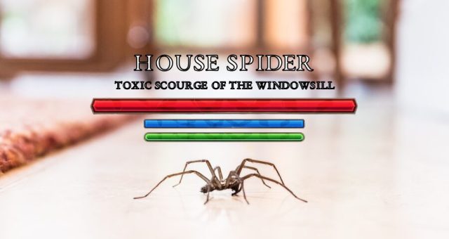 Uh Oh! Spider in Apartment Has Massive Health Bar